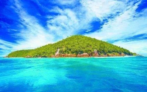 蓝色怪物救援